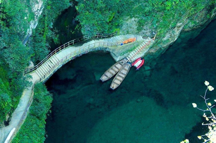丧尸围城4